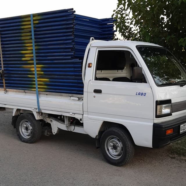 lesa arenda 8484
