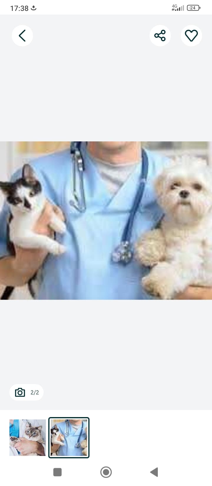 Veterinar 24/7
