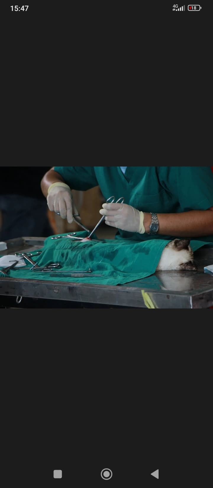 Veterinariya xizmati