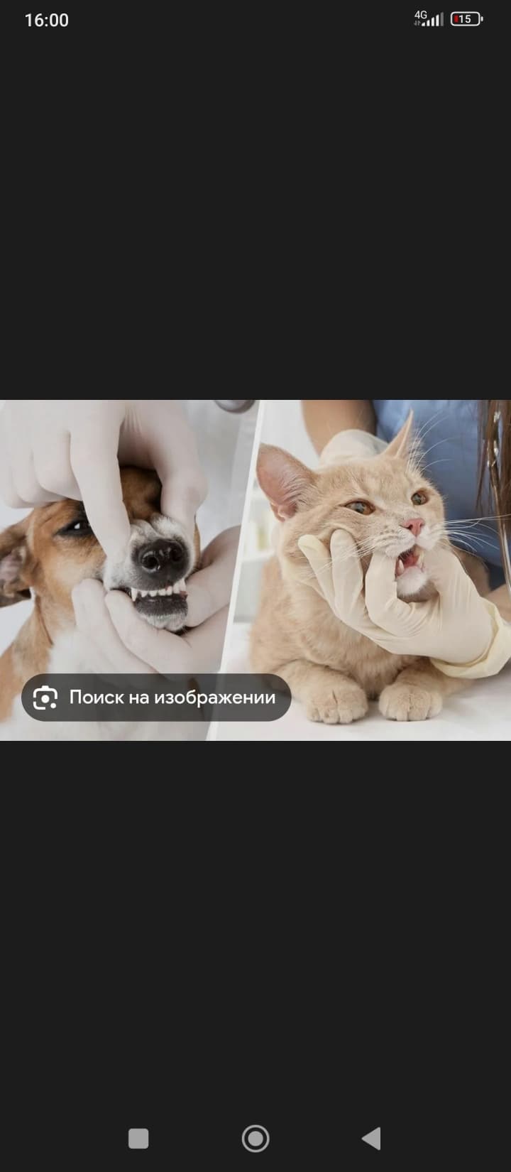 Veterinar shifokor 24/7 navbatchilikda