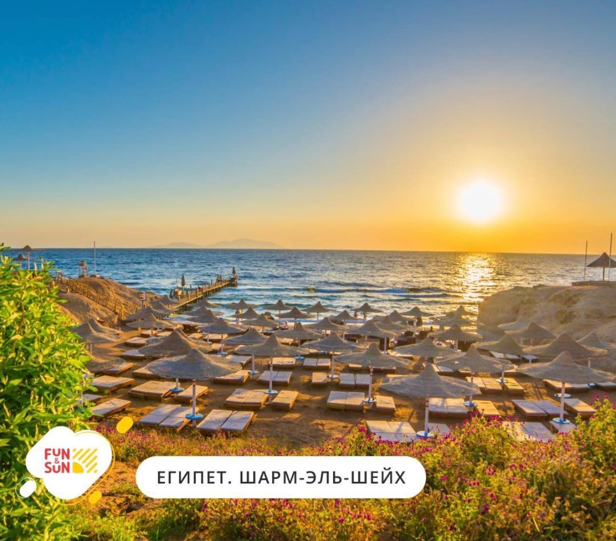 Toshkentdan Sharm el-Sheikh har bir turne uchun 390 dollardan!