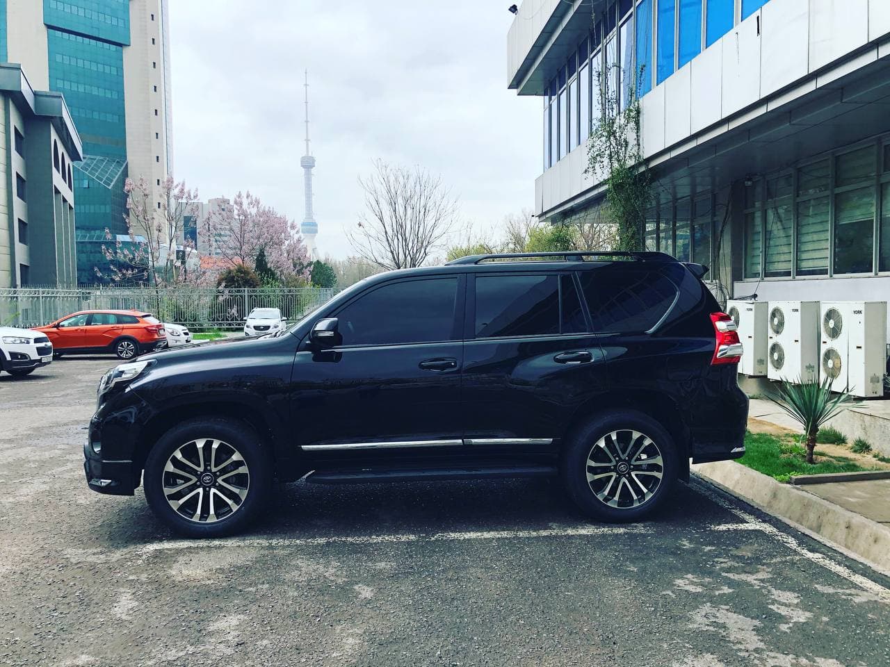 Rent a Car Toyota Prado 1.1mln v sutochna