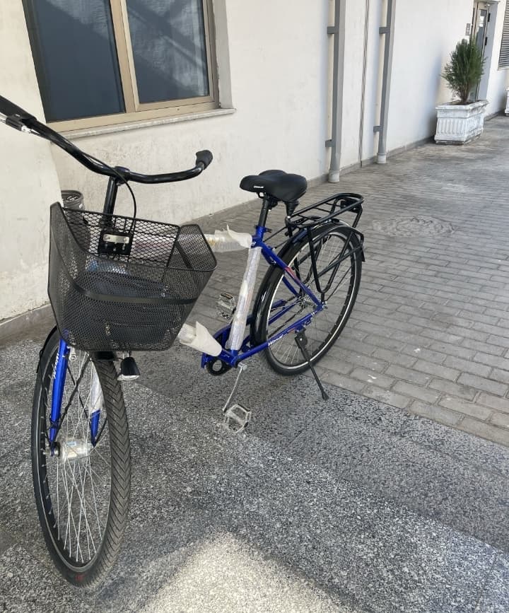 WASAT Original Ramalari Juda Kalin va Bakuwat Veliki Yangi Turibti