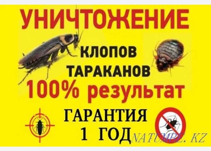 Toshkent va Tash hududida dezinfeksiya xizmati