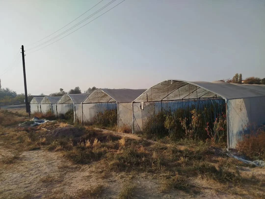 Parniklar sotiladi