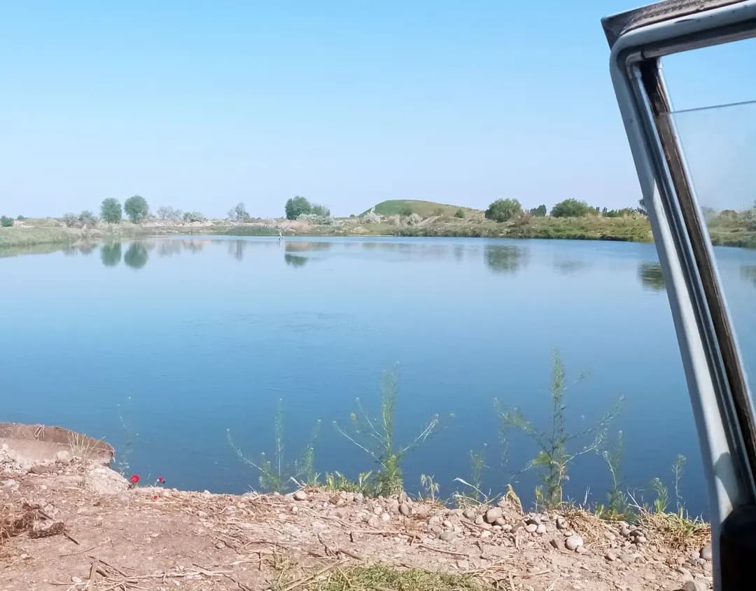 Baliqchilikda ish bor Baliq boqish kerak