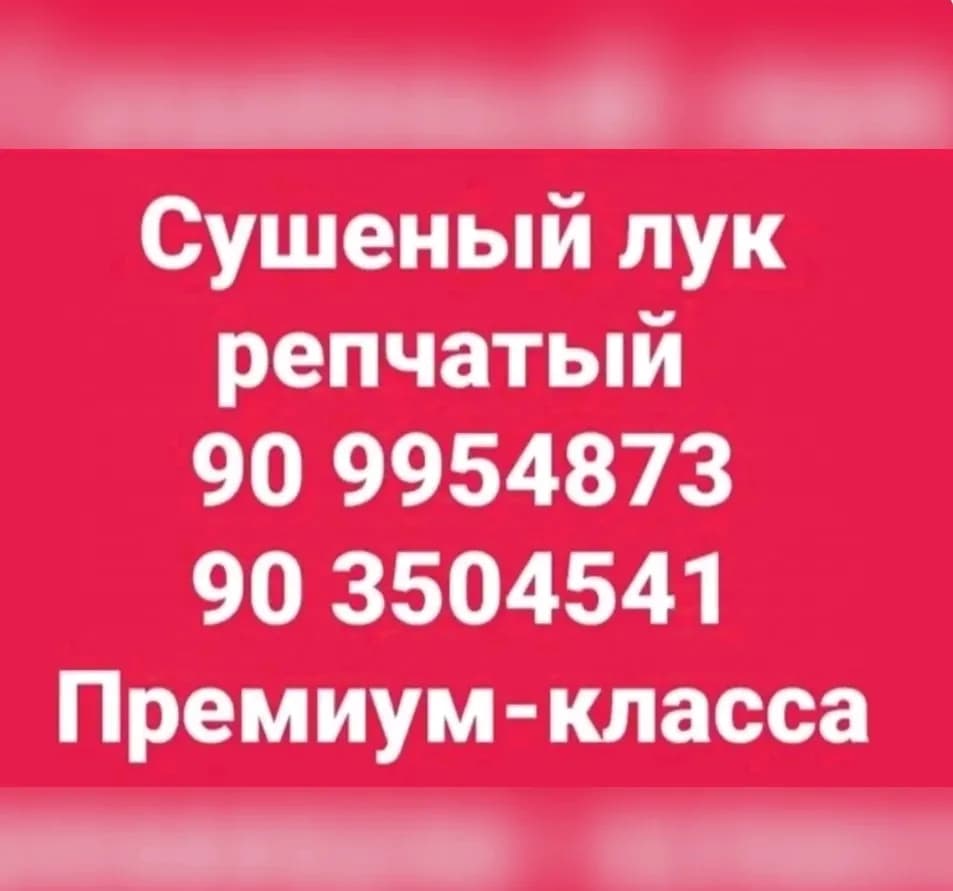 Лук сушёный премиум класса