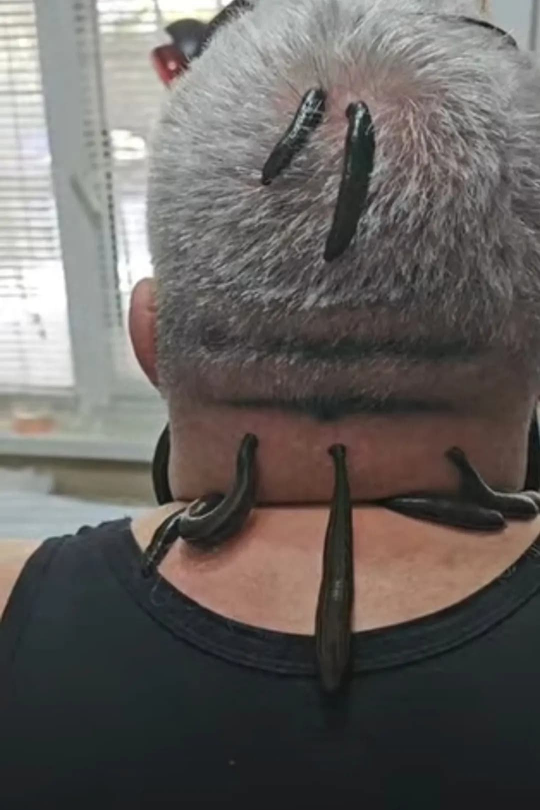 Xijoma Va Zuluk  xizmati