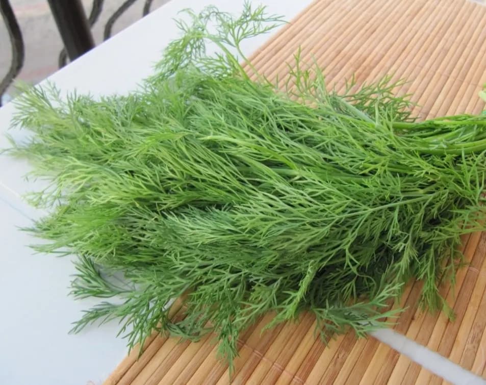 Dill Kuritilgan Premium Sifatida