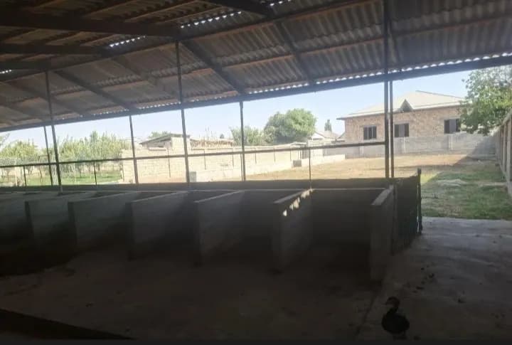 Chirchiq shaharida 17sotihli hovli sotiladi