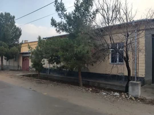 6 so'tix katej sotiladi 450 mln so'm manzil qiziltepa tumanida oq oltin mahallasida +99888008919