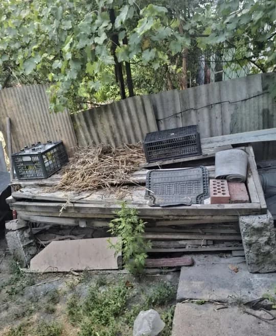 Дрова, самовывоз, бесплатно! .