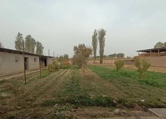 Yangi yilda ipadromga yaqin uy sotiladi