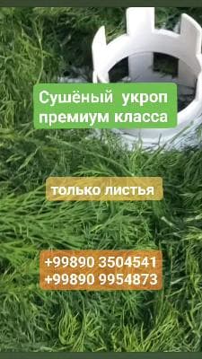 Сушёный укроп премиум класса