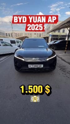 Byd yuan