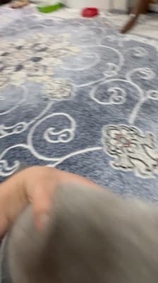 Mushukcha