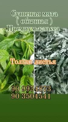 Сушёная мята премиум класса (только листья)